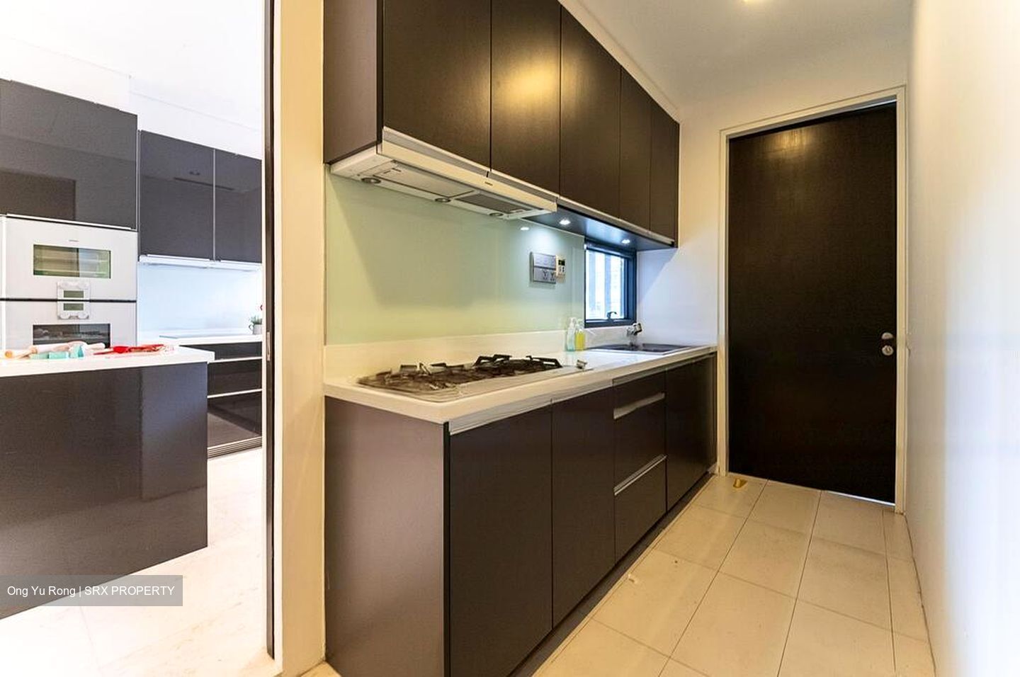 Sui Generis (D10), Condominium #484218651